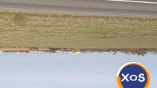 TEREN DRUMUL EUROPEAN E81/SATU-MARE