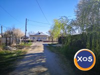 Teren intravilan 2500 mp, str. Barba Rasa 38 Floresti Stoenesti - 3