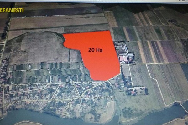 Teren Ștefănești 20 - 50 hectare