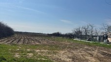 Vând lot teren 1.100 mp. Buturugeni/Giurgiu.