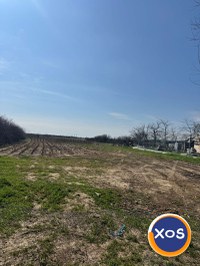 Vând lot teren 1.100 mp. Buturugeni/Giurgiu. - 1