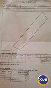 Vând pădure,teren extravilan. - 6