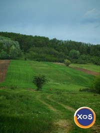 Vând pădure,teren extravilan. - 1