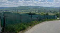 Vând teren Bârnova, autorizație 3 case