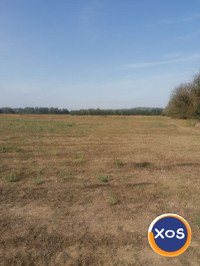Vânzare teren extravilan agricol–oportunitate excelentă de investiți - 2