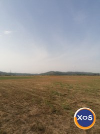 Vânzare teren extravilan agricol–oportunitate excelentă de investiți - 3