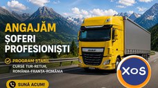 Angajăm șofer profesionist C+E tur-retur Romania-Franta-Romania