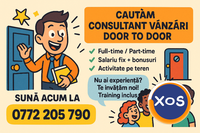 consultant vanzari - 1