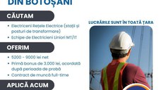 ELECTRICIENI LINIORI & ELECTRICIENI REȚELE ELECTRICE