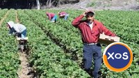 Jobs for workers from Asia, Africa, etc. in România. - 4