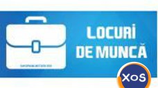 Muncitori Strainatate(diverse domenii);