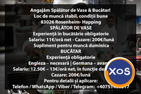 OFERTA DE MUNCA IN GERMANIA-BUCATAR/SPALATOR VASE - 1