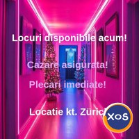 Casa privata Zurich, Elvetia - 1