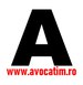 avocat-timisoara-1