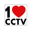 1cctv.ro