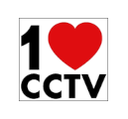 1cctv.ro