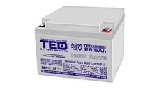 Acumulator AGM TED1228M5 12V 28Ah M5 - Versatilitate si Performanta