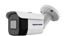 Camera supraveghere IP exterior 30M Eyecam EC-1375 1080P