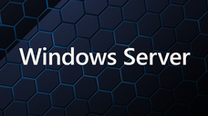 Windows Server 2025 Standard 64Bit English 1pk DSP OEI DVD 16 Core
