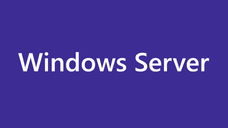 Windows Server CAL 2022 English 1pk DSP OEI 1 Clt Device CAL