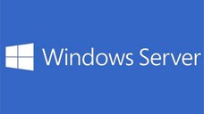 Windows Server CAL 2022 English 1pk DSP OEI 5 Clt User CAL