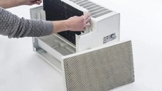 Filtru antibacterian de schimb Woods pentru HSW100