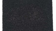 Filtru de carbon de schimb pentru dezumidificatorul Olimpia Splendid Aquaria 14P
