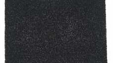 Filtru de carbon de schimb pentru dezumidificatorul Olimpia Splendid Aquaria 14P