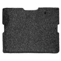 Filtru de carbon pentru AERIUM DH20G Ionic Wi-Fi - 1