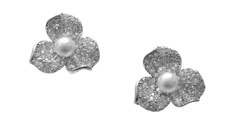 Cercei ALDO argintii, CHARPIN 973, din metal