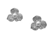 Cercei ALDO argintii, CHARPIN 973, din metal - 1