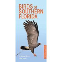 Birds of Southern Florida - 1