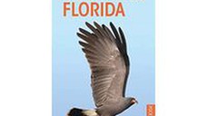 Birds of Southern Florida