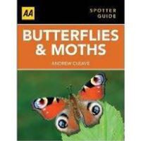 Butterflies and Moths - 1