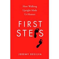 First Steps - 1