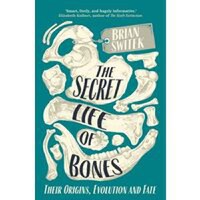 Secret Life of Bones - 1