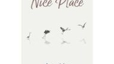 The World Is a Nice Place : How to Overcome Adversity, Joyfully