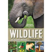 Wildlife of South Africa - 1