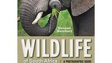 Wildlife of South Africa