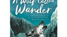 Wolf Called Wander