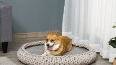 Culcus pentru animale PawHut Rotund cu Margini Ridicate si Perna, Efect Catifea, Φ93x15cm, Gri | AOSOM RO