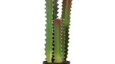 HOMCOM Cactus Artificial de 66 cm cu Ghiveci si 3 Frunze pentru Decor Interior Verde | Aosom Romania