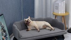 PawHut Canapea căptușită pentru câini de talie medie-mare max. 32kg cu tapițerie moale, detașabilă și lavabilă, gri