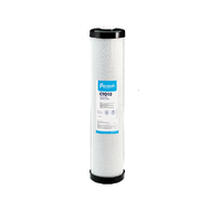 Cartus filtrant Carbune Activ Bigblue 20 - 1