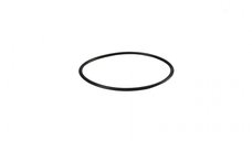 Oring pentru carcasa membrana osmoza inversa YT-3 925x40