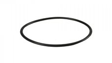 Oring pentru carcasele filtrelor Ecosoft