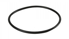 Oring pentru filtrele BigBlue - Garnitura de inalta calitate