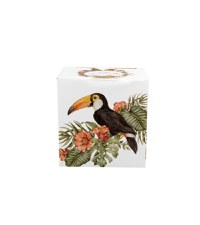Cana cu infuzor Lumea Pasarilor Tucan - 2