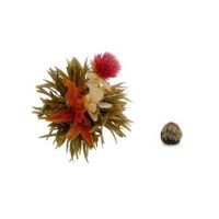 Divine Lily - 1