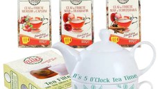 Fruit Tea Lover’s Kit – Set Tea for One cu 3 ceaiuri de fructe si filtre